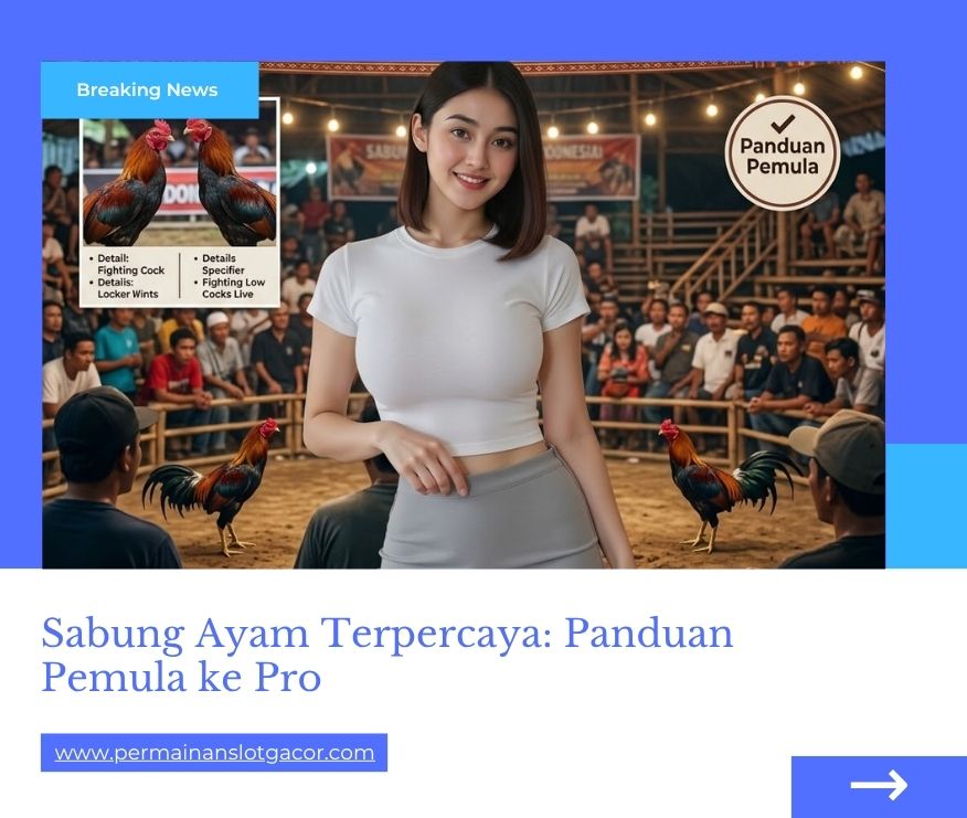 Sabung Ayam Terpercaya